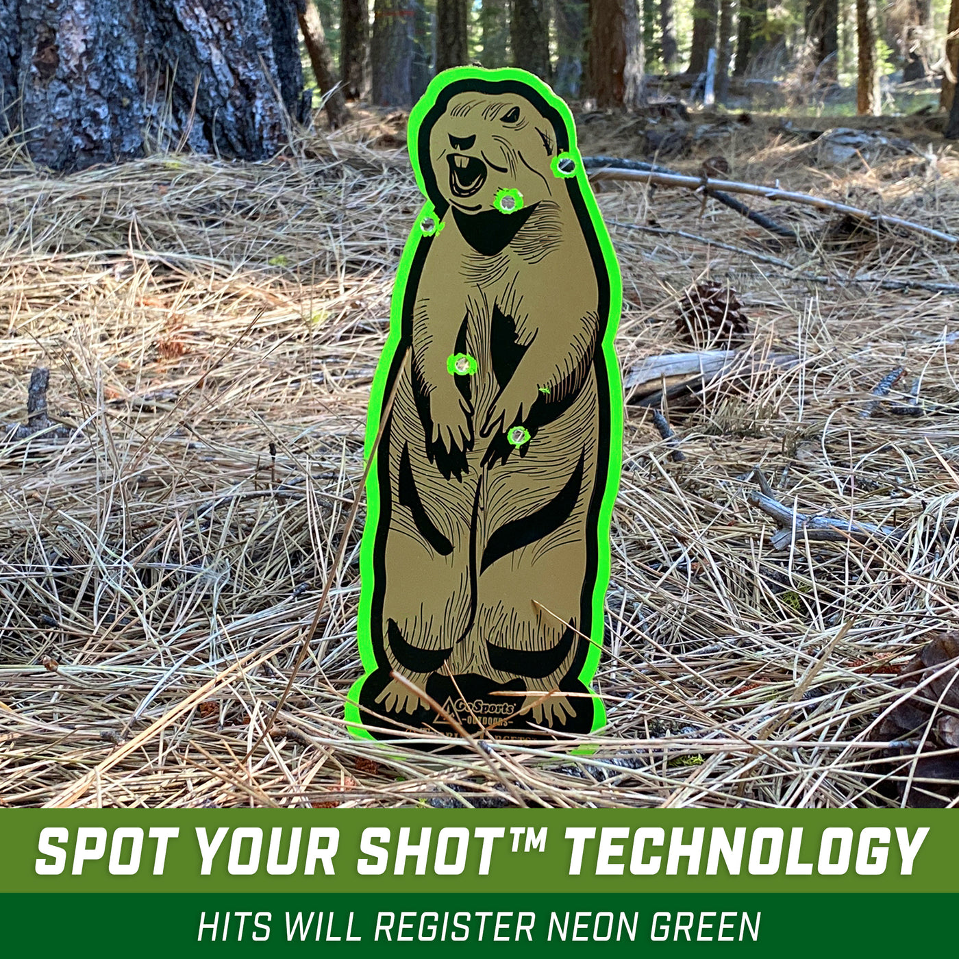GoSports Outdoors Gopher Terrain Targets | Reactive Shooting Range Tar ...